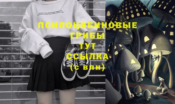 ECSTASY Каменск-Шахтинский