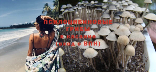 каннабис Каменка